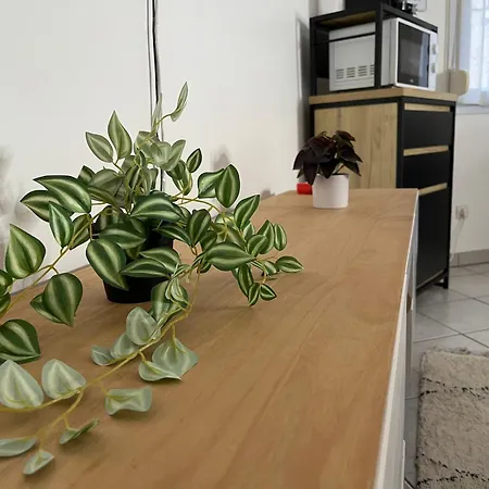 Apartment Le Roch - T3 Cosy & Spacieux Amiens