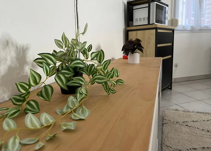 Apartamento Le Roch - T3 Cosy & Spacieux Amiens